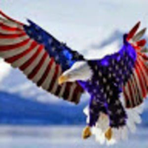 Meet your Posher, Steve